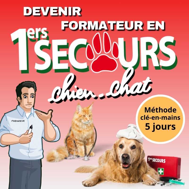 Formation formateur en premiers secours canins/félins